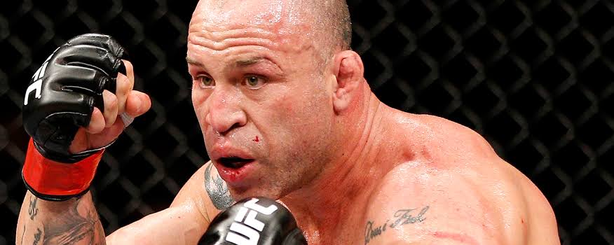 Wanderlei Silva net worth 