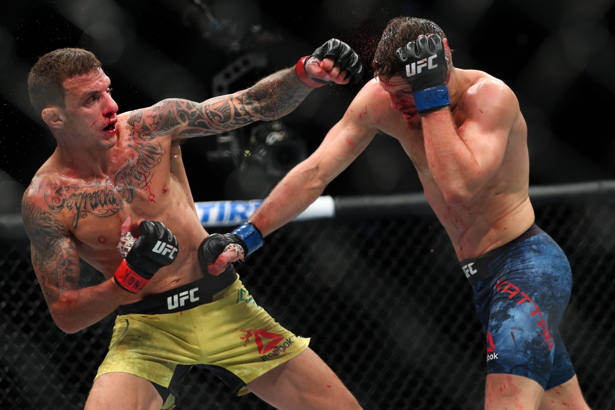 Renato Moicano Damir Hadzovic UFC Brasilia