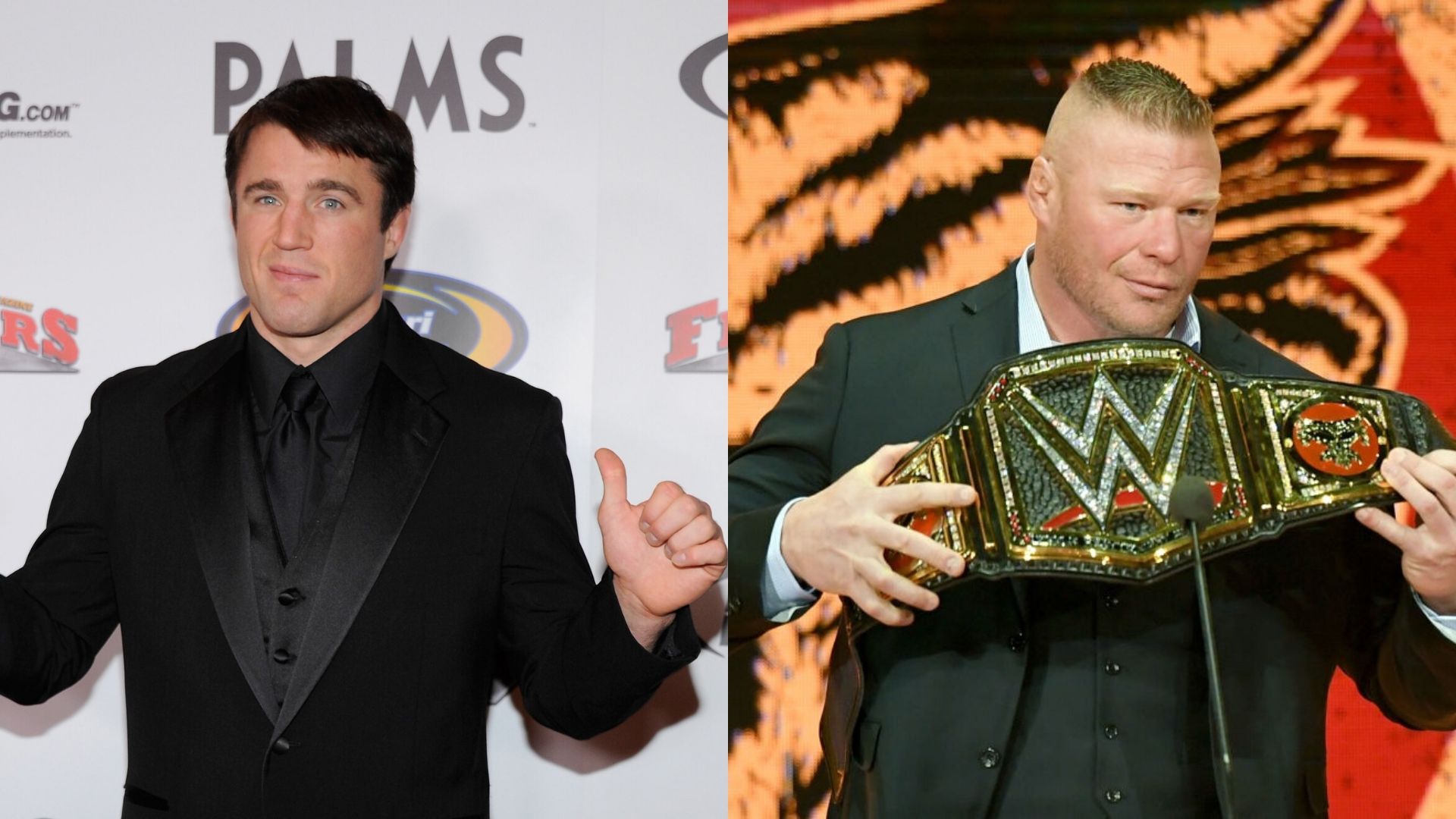 Chael Sonnen spoke highly of Brock Lesnar