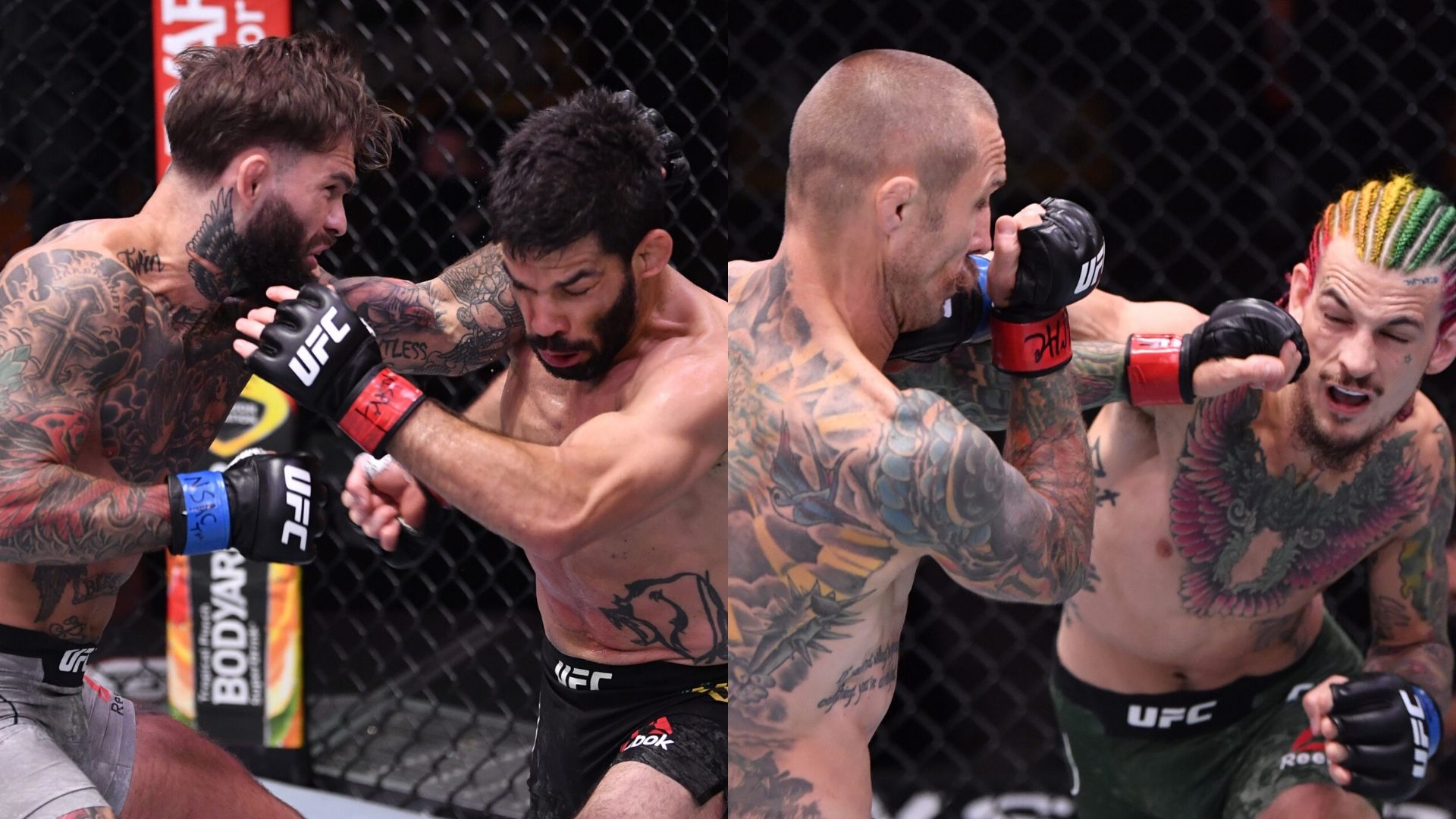 Sean O'Malley and Cody Garbrandt had two great knockouts at UFC 250