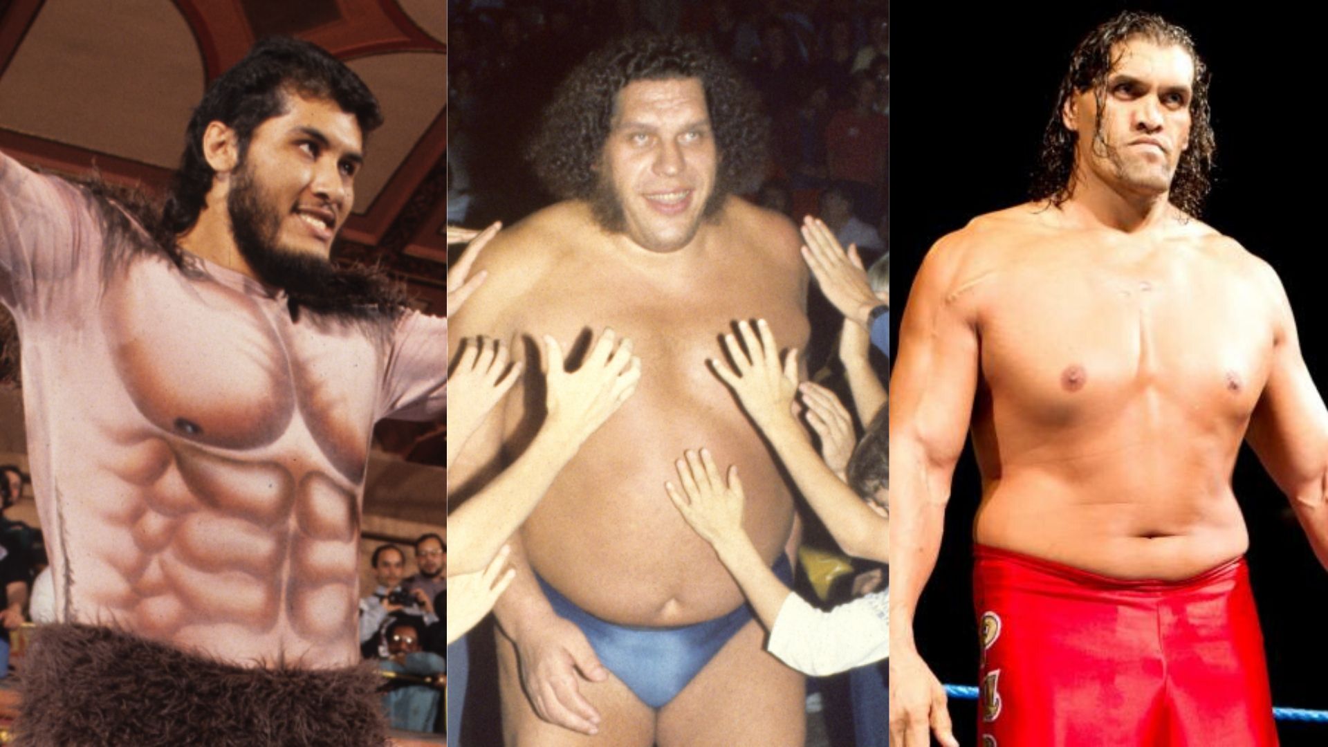 Andre the Giant, The Great Khali and Giant Gonzales are three of the biggest and tallest WWE wrestlers ever