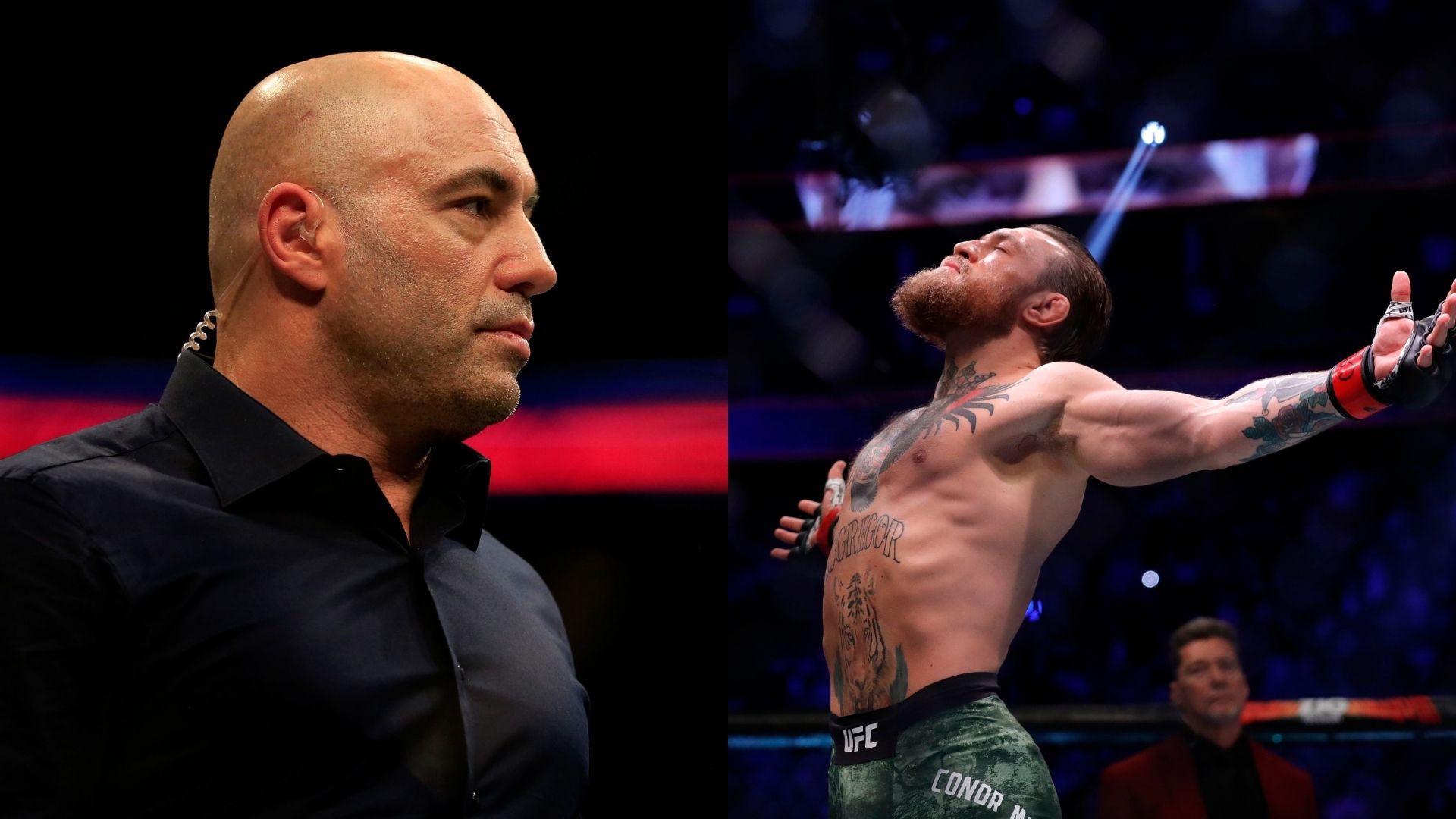Joe Rogan believes a trilogy with Nate Diaz would be something special