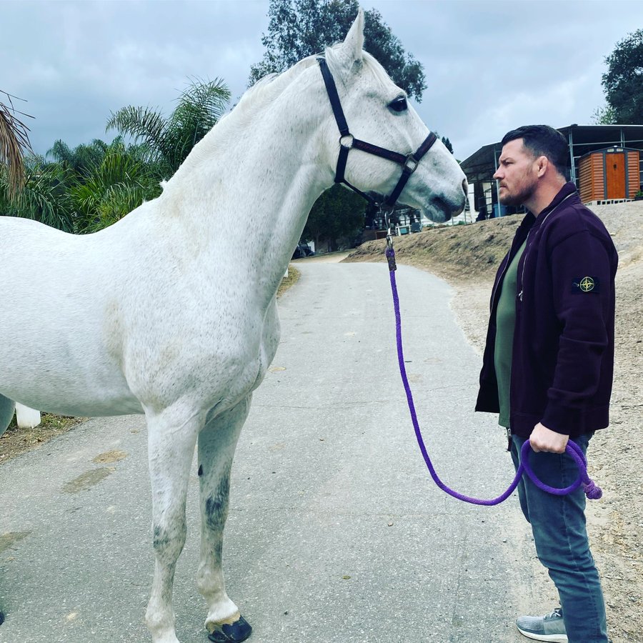 Michael Bisping posted this photo with a horse and Conor McGregor responded