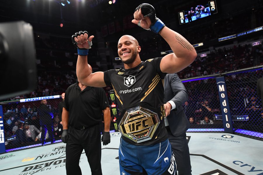 is meaning of an interim champion in the UFC?