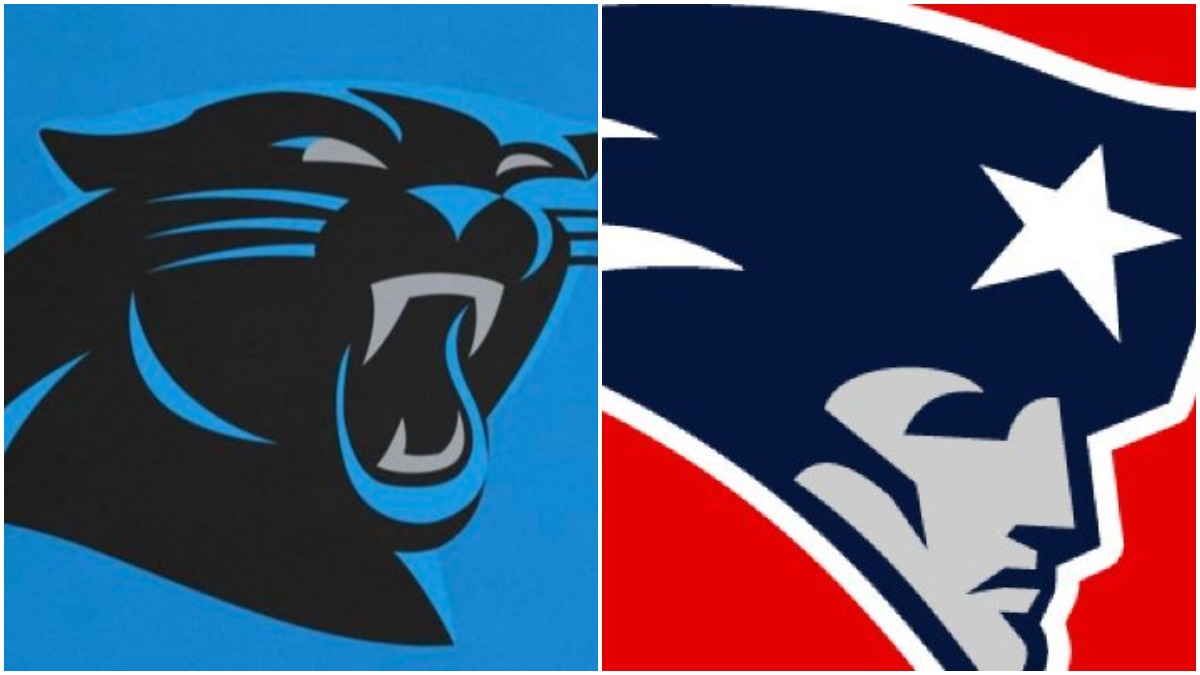 Carolina Panthers vs New England Patriots