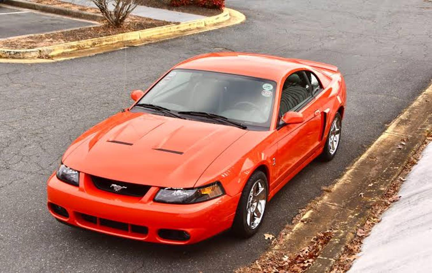 Everlasting muscle cars 