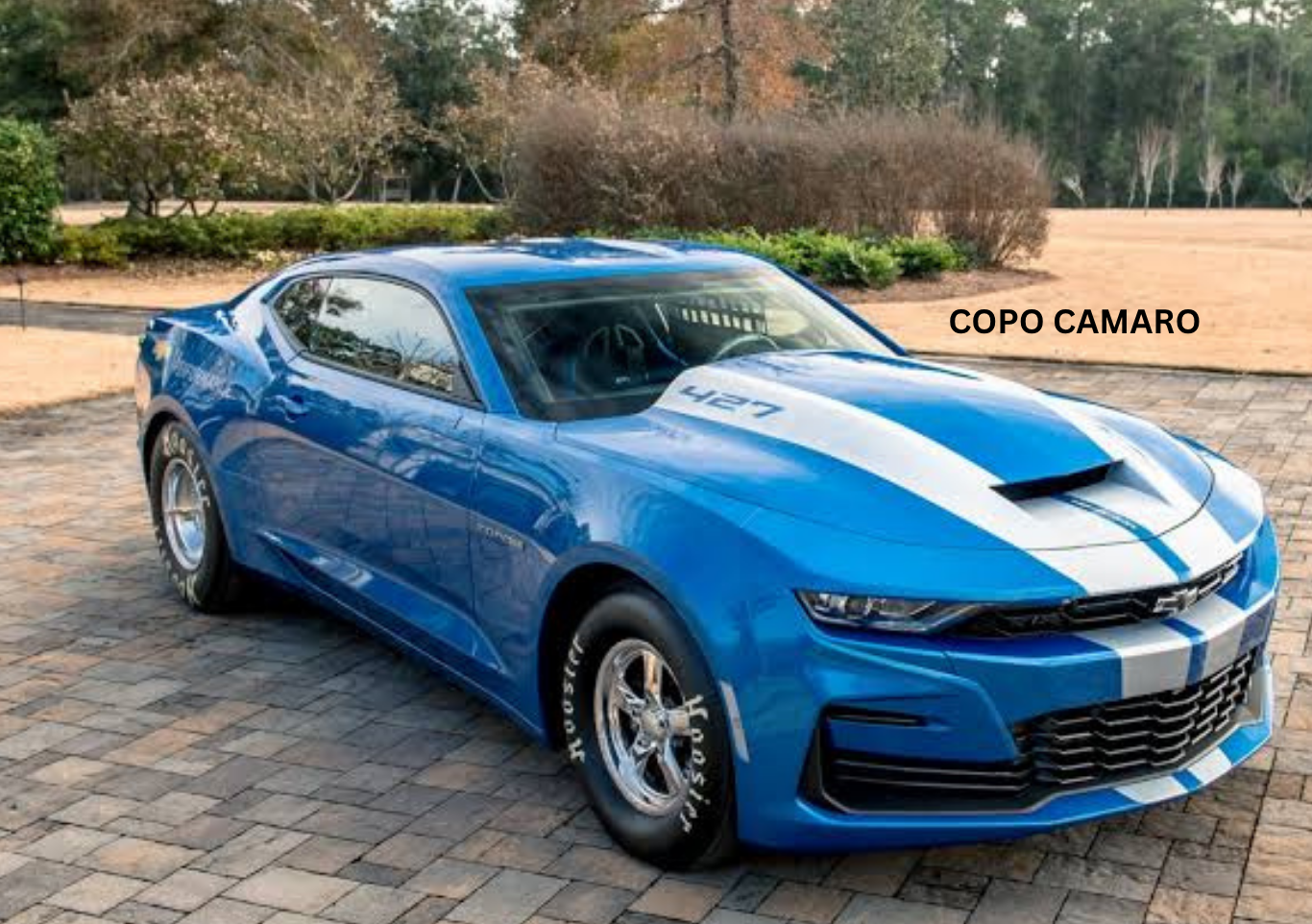 Copo Camaro facts