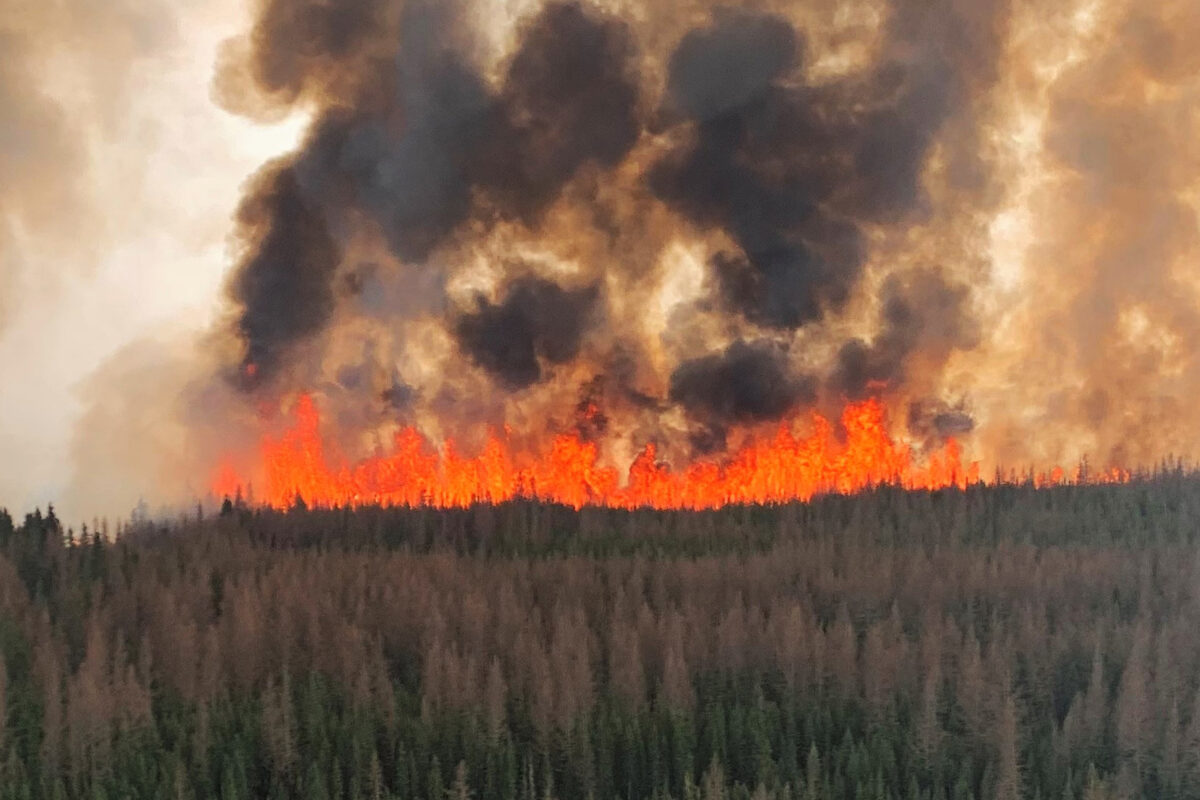 North American Wildfires