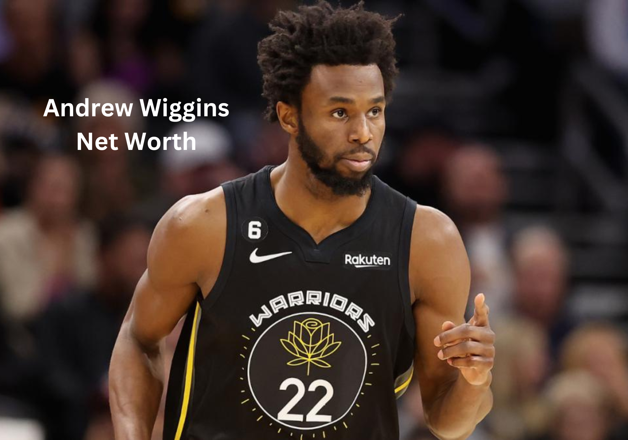 Andrew Wiggins