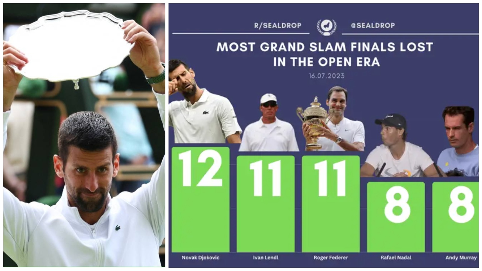 Novak Djokovic most grand slam finals lost