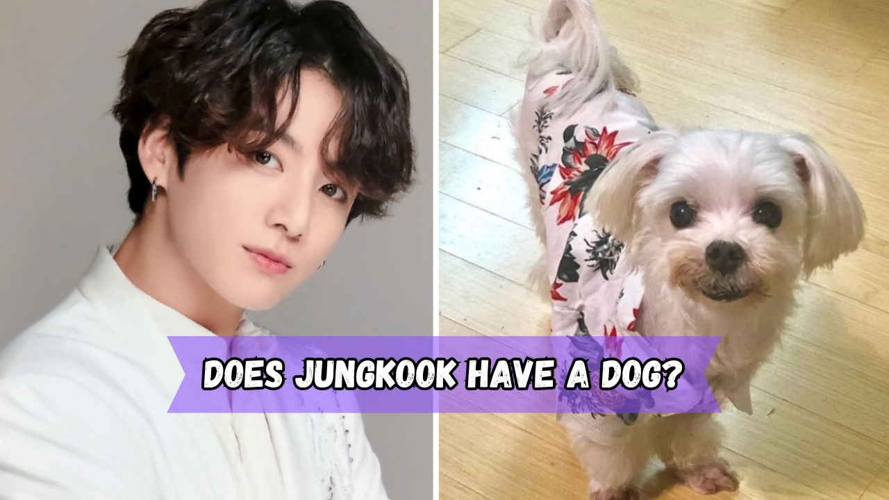Does Jungkook have a dog? What breed is the dog?