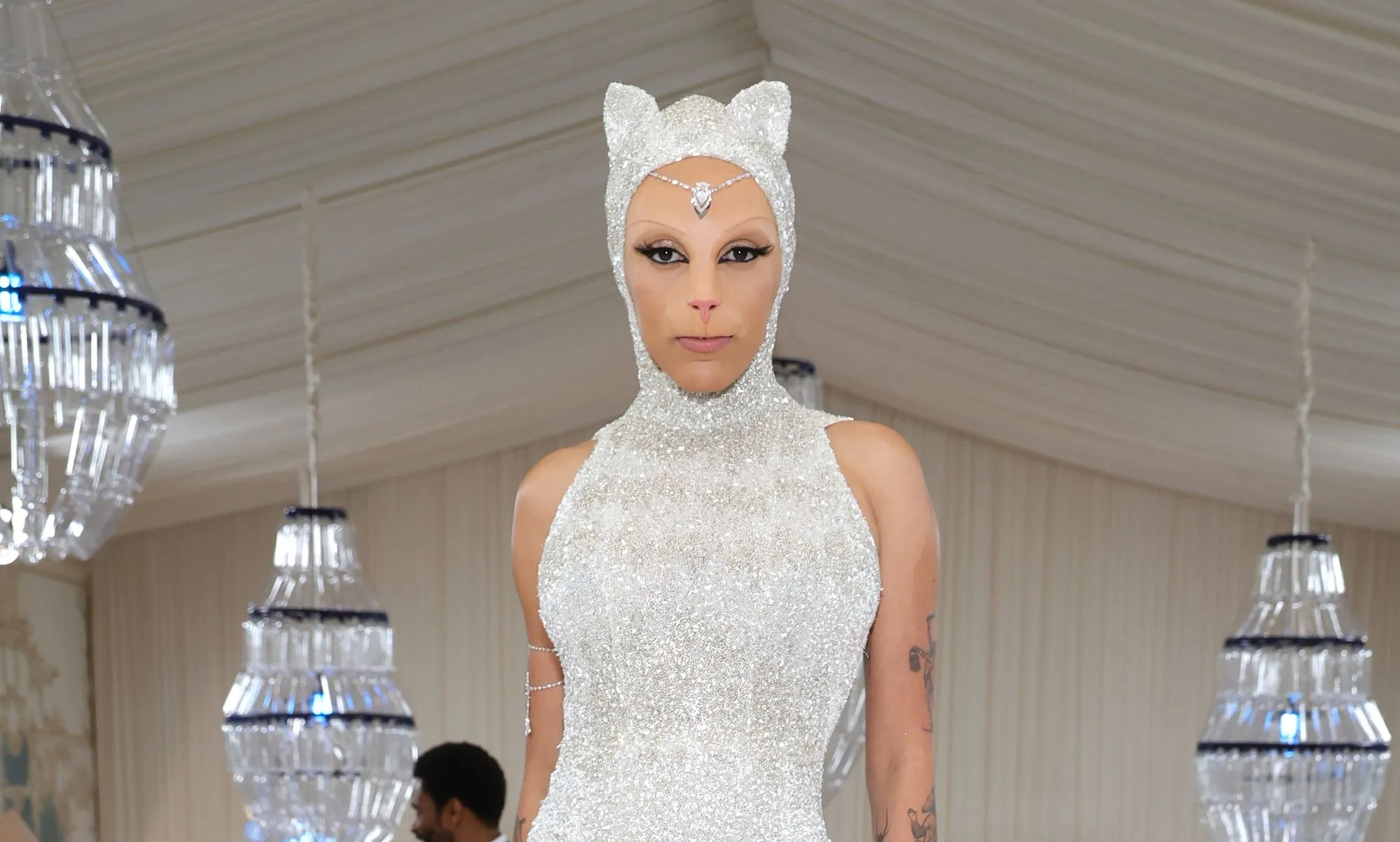 Who dressed up as a cat at the 2023 Met Gala awards? What did she say