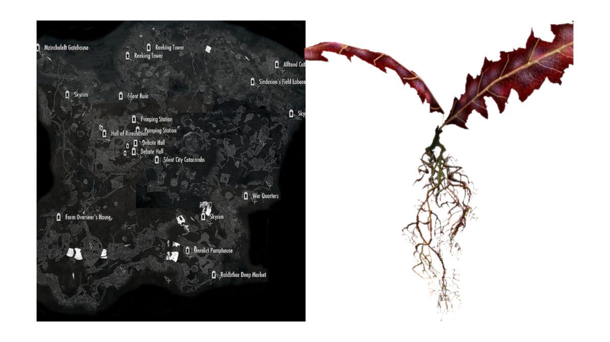 Crimson Nirnroot Locations Skyrim