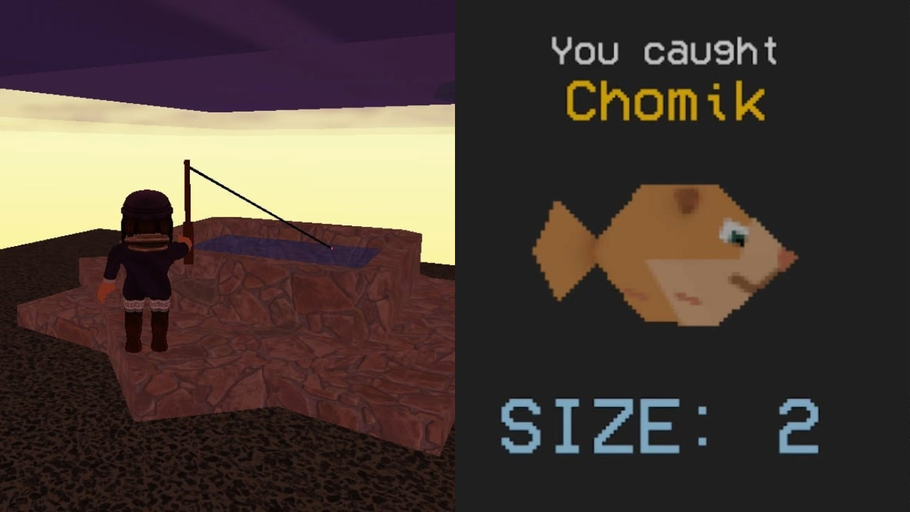 Size 2 Chomik