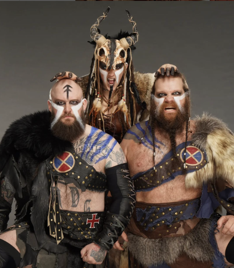 The Viking Raiders 