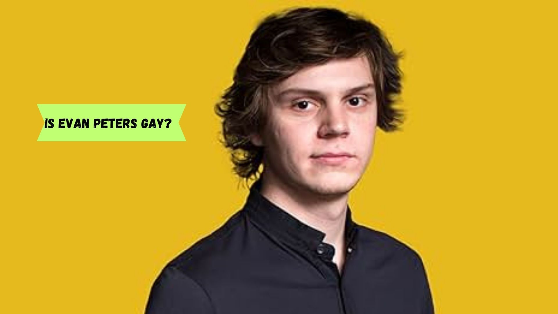 Is Evan Peters gay