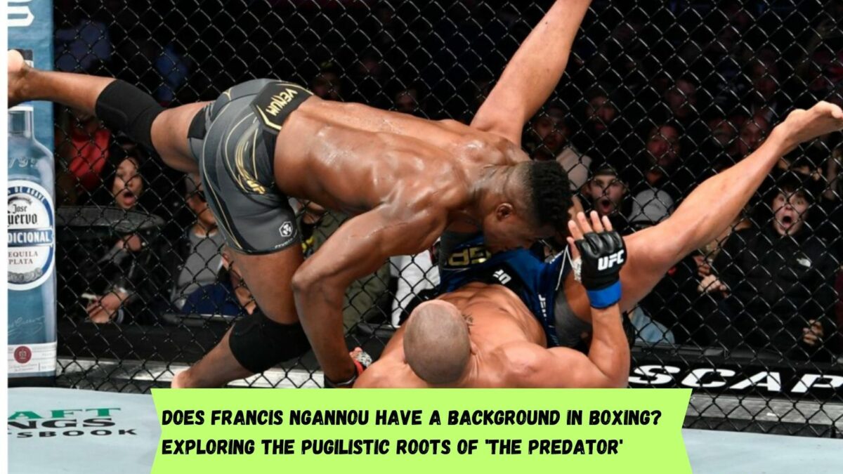 Francis Ngannou boxing background