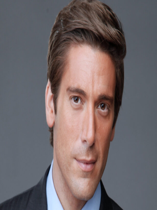 Who is David Muir? Is the journalist gay?