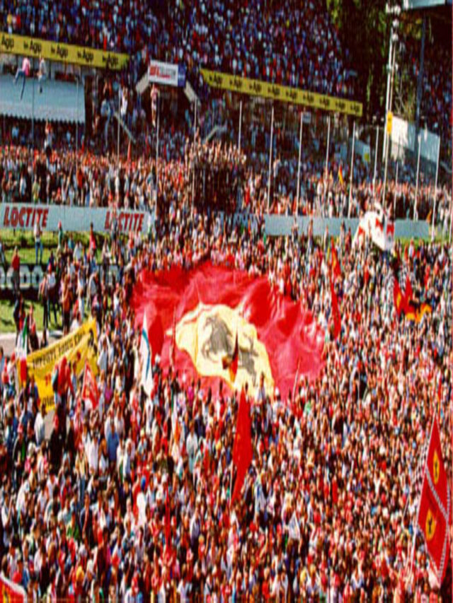 WHAT IS THE MEANING OF TIFOSI IN F1?
