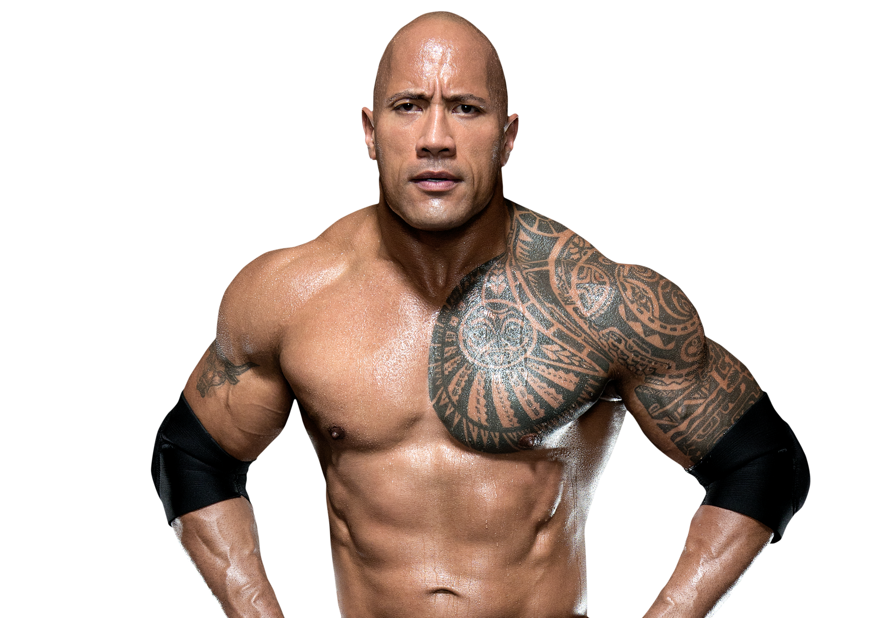 What is the real ethnicity of The Rock? Is The Rock Samoan?