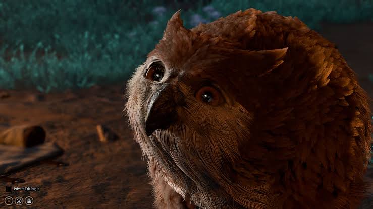 Baldur's Gate 3 Owlbear Cub 